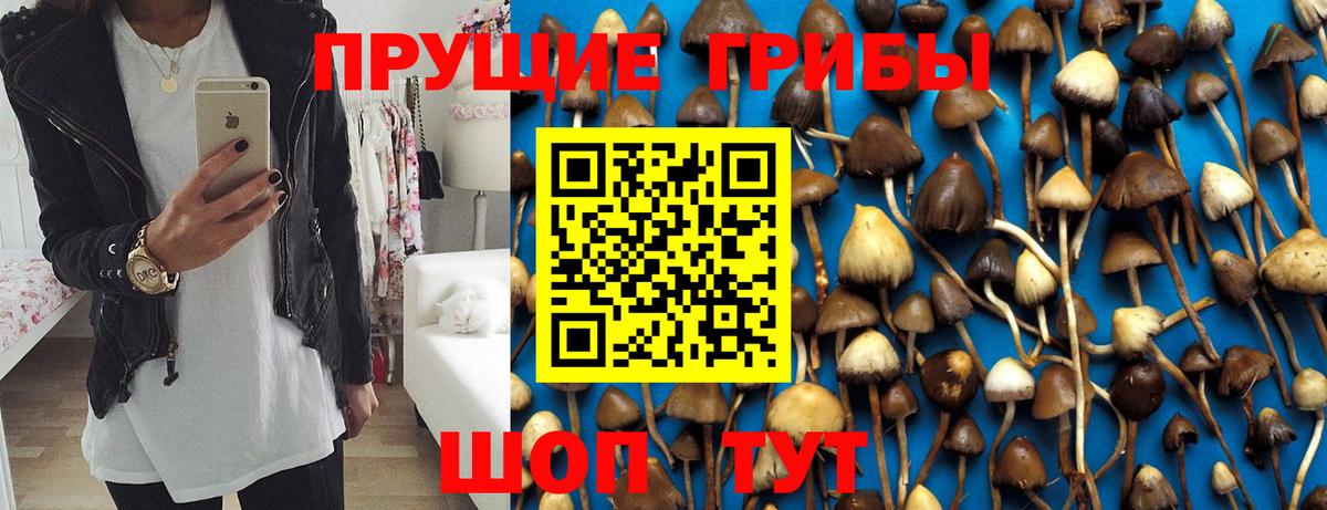 Псилоцибиновые грибы прущие грибы Славгород
